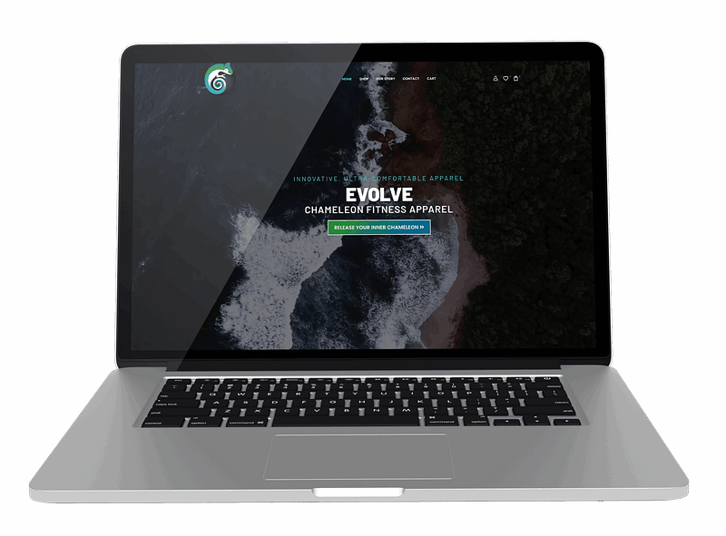 ecommerce website design services in San Antonio